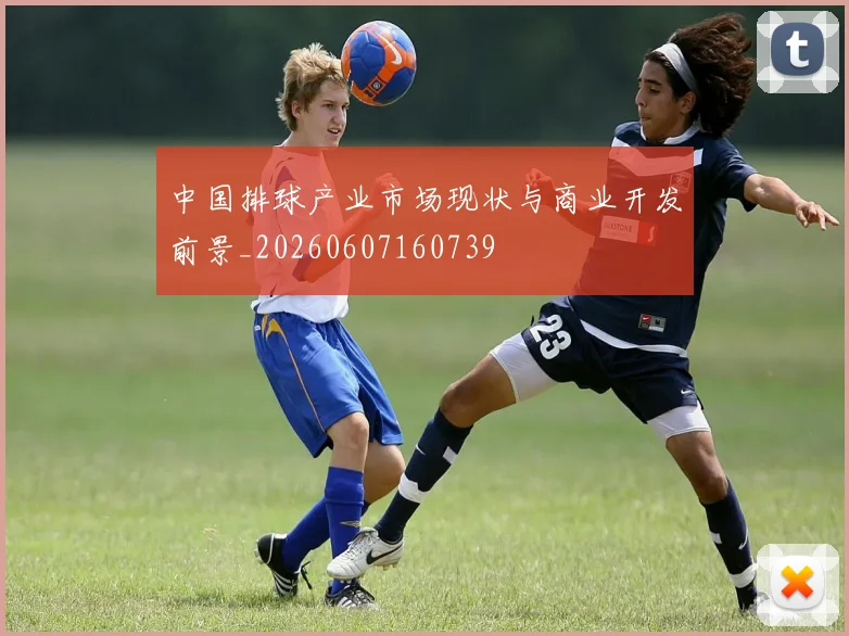 中国排球产业市场现状与商业开发前景_20260607160739