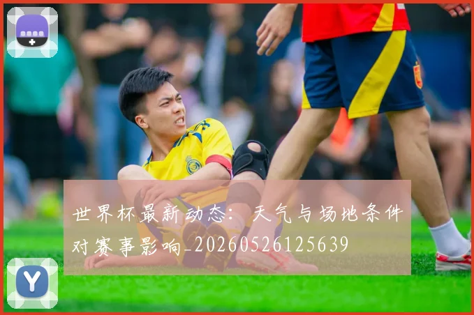 世界杯最新动态:天气与场地条件对赛事影响_20260526125639