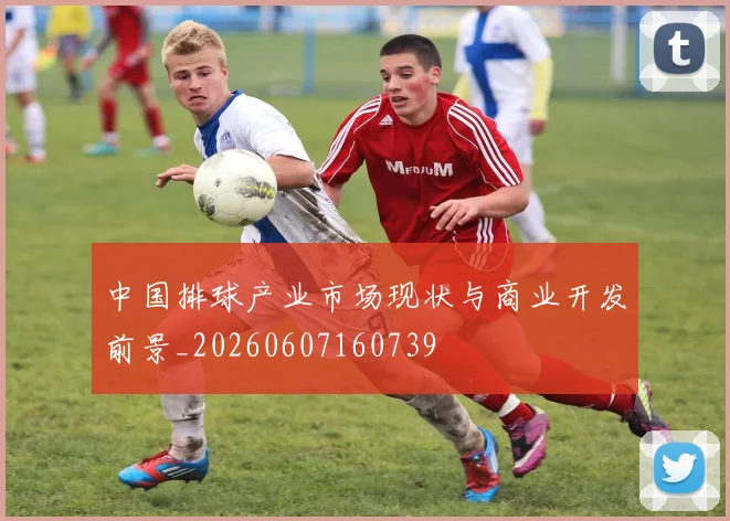 中国排球产业市场现状与商业开发前景_20260607160739